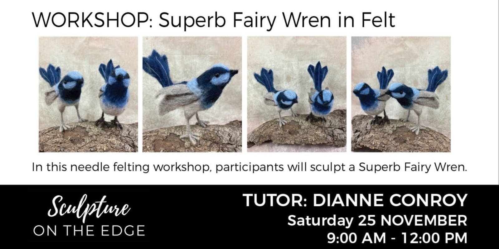 Banner image for Workshop: Superb Fairy Wren with Dianne Conroy