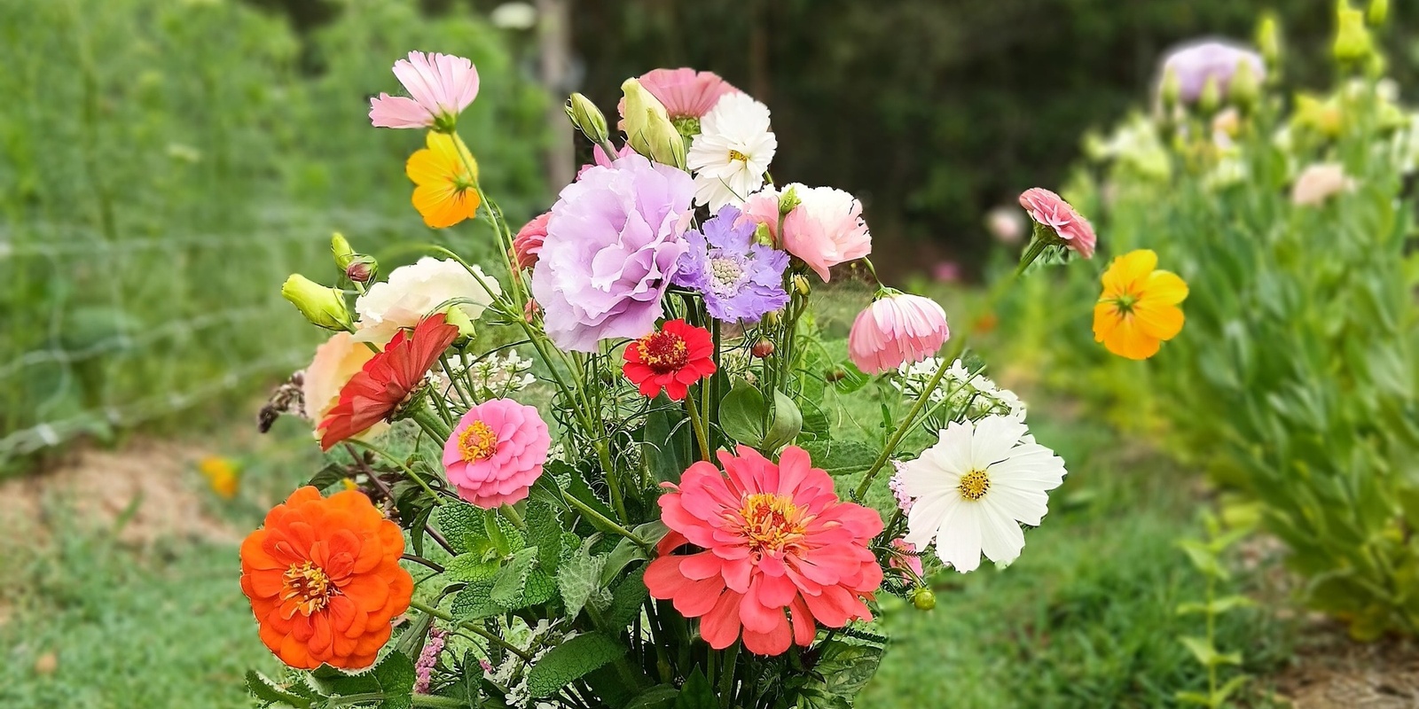 Banner image for Flower Picking Session - December 8th