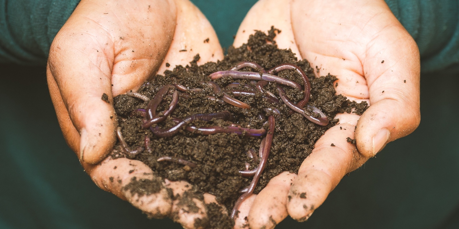 Banner image for Composting and Worm Farming