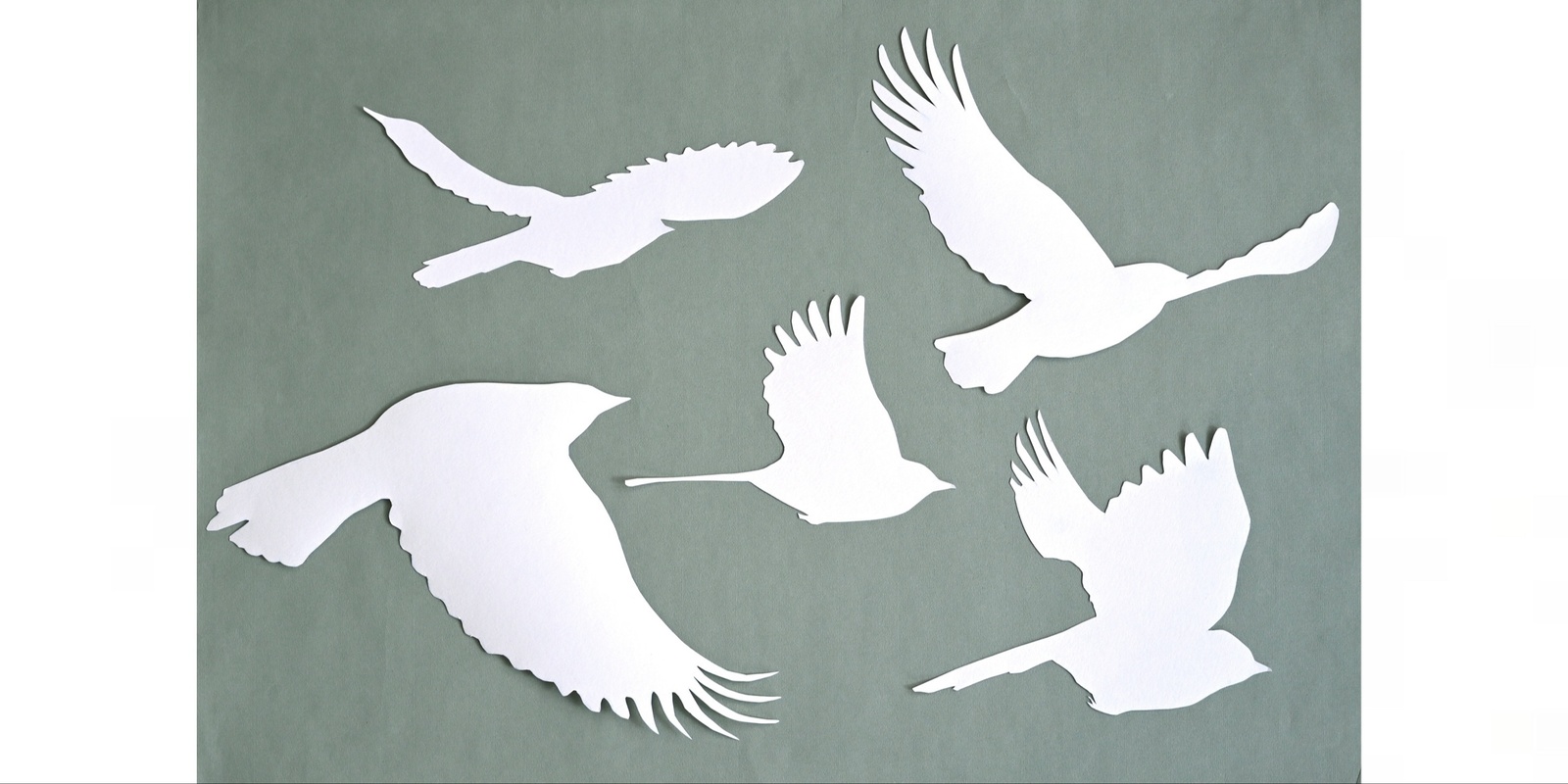 Banner image for Creativity and Conservation: A discussion about action to protect birdlife.