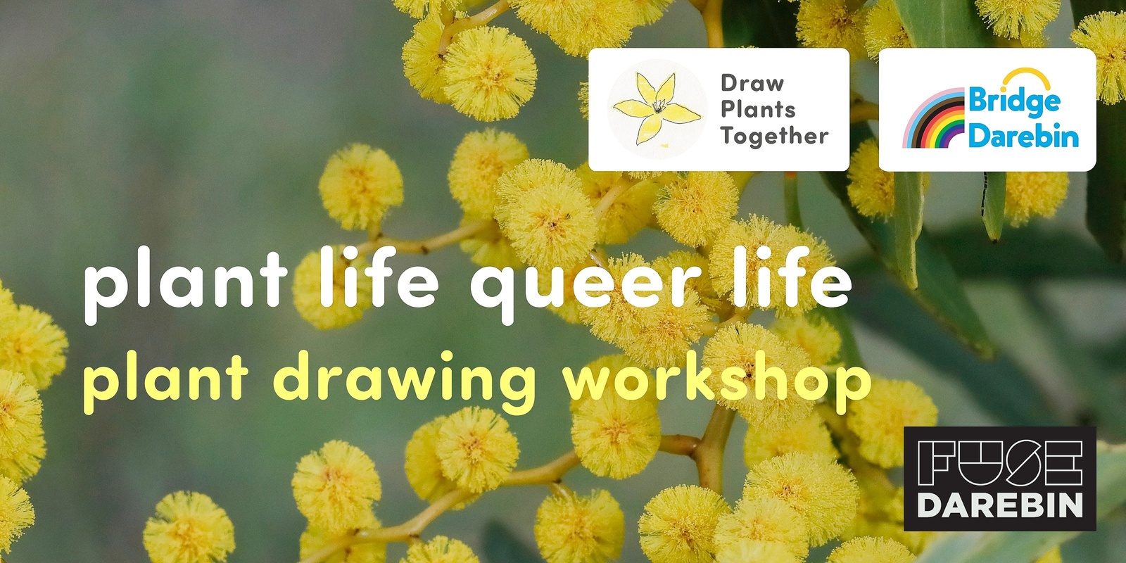 Banner image for Plant life queer life – Plant drawing workshop 🌿 Darebin FUSE Festival