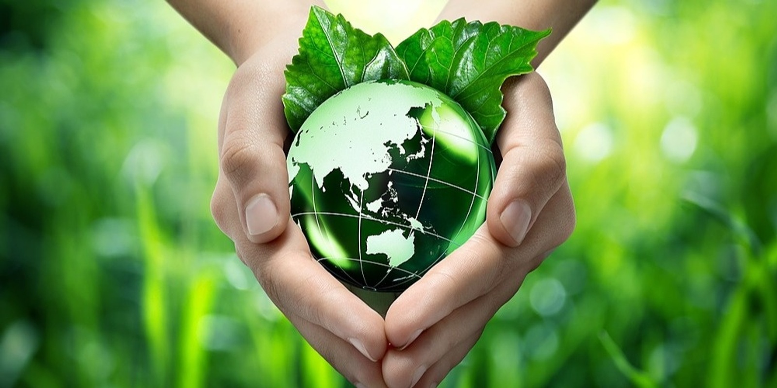 Banner image for World Environment Day - Reaching Net Zero