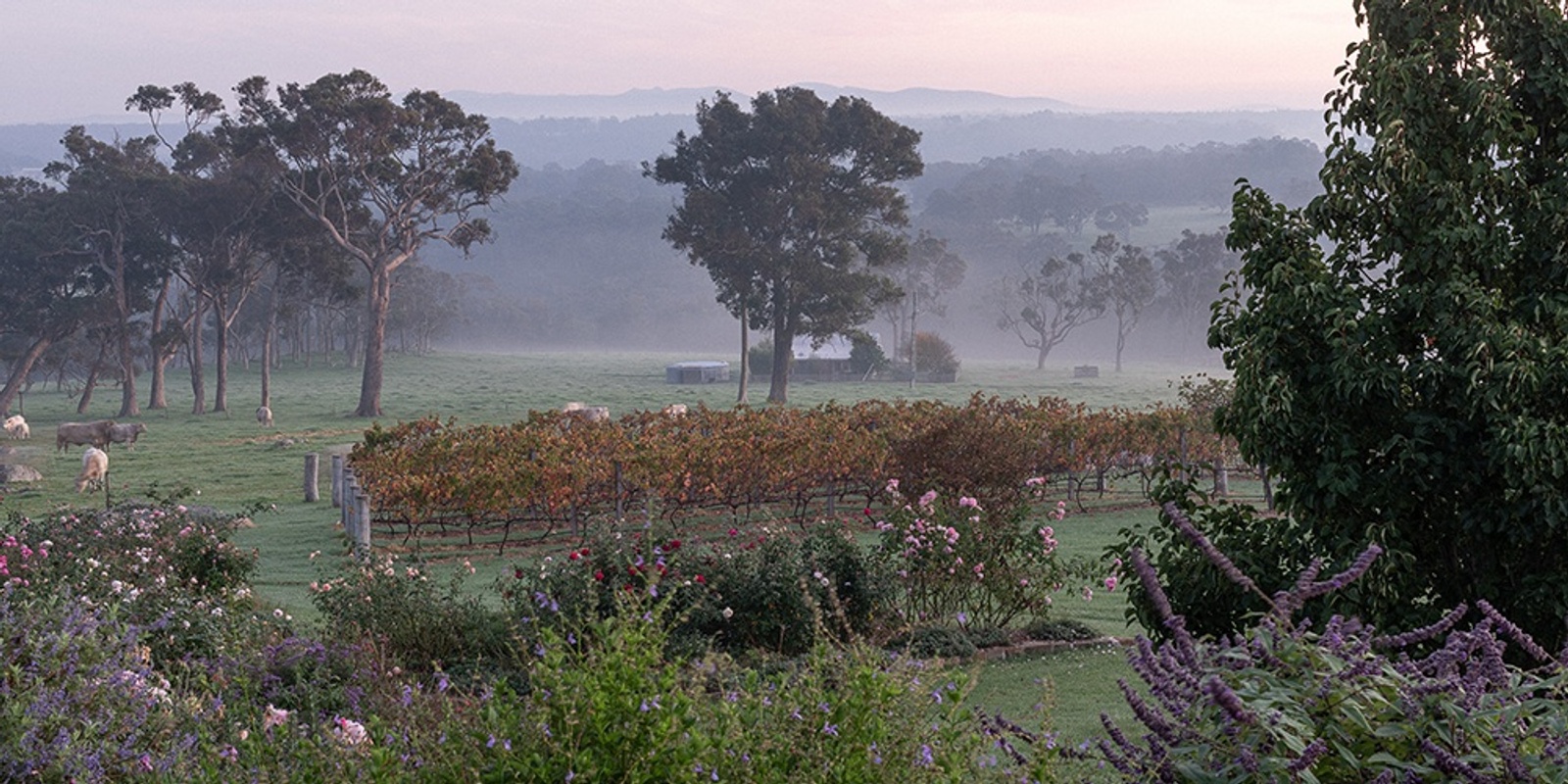 Banner image for The Chef, The Farmer and The Gardener