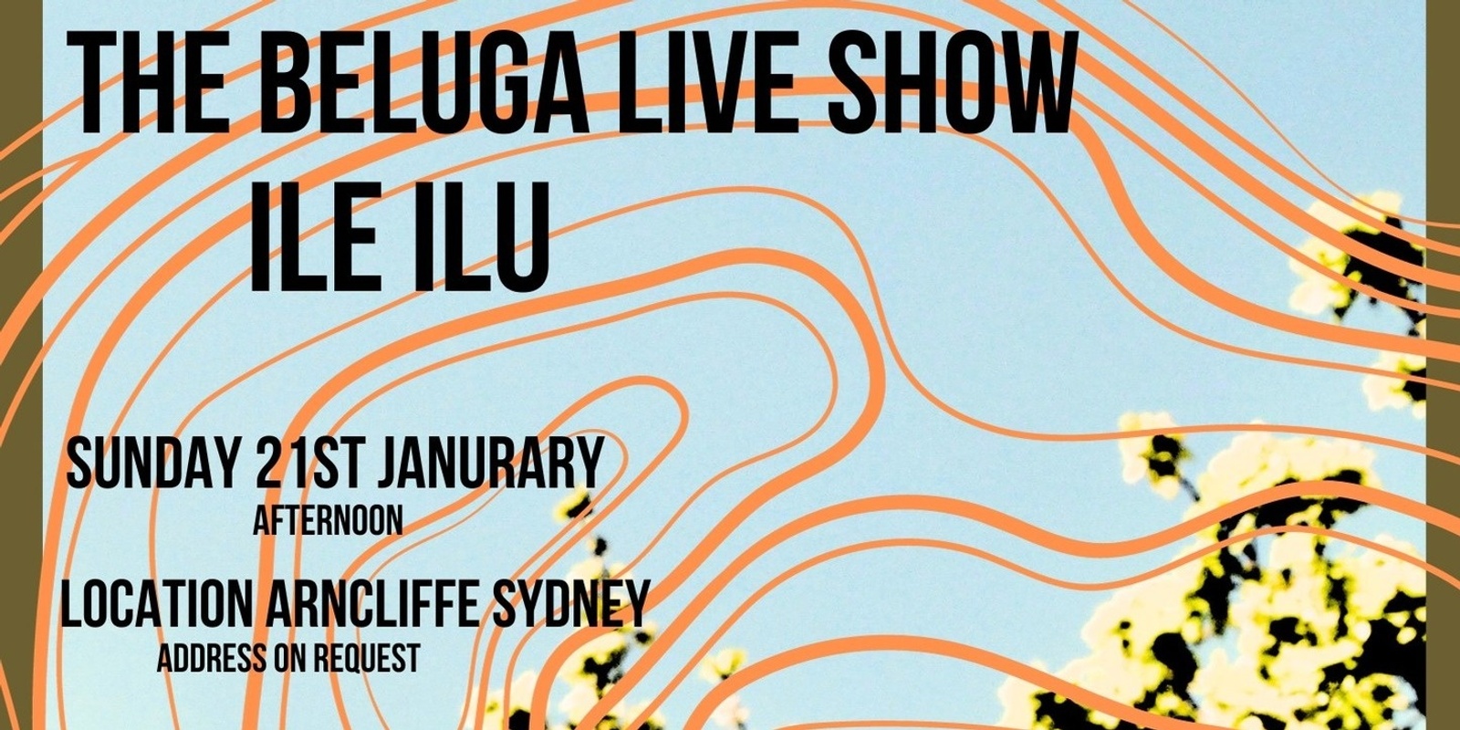 Banner image for Beluga + Ile Ilu Live Sydney Show 