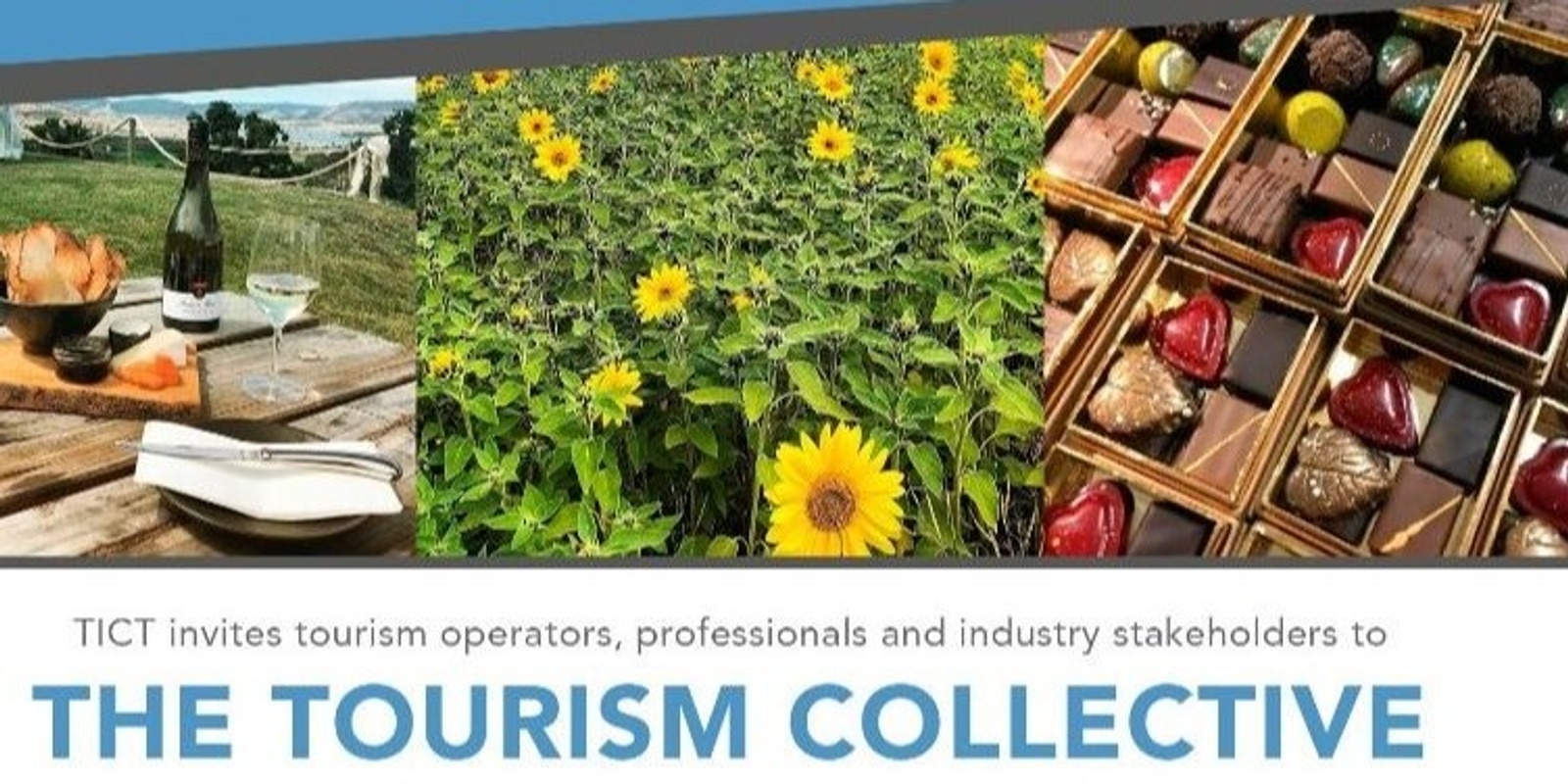 Banner image for The Tourism Collective - A Celebration of Tasmanian women working in tourism