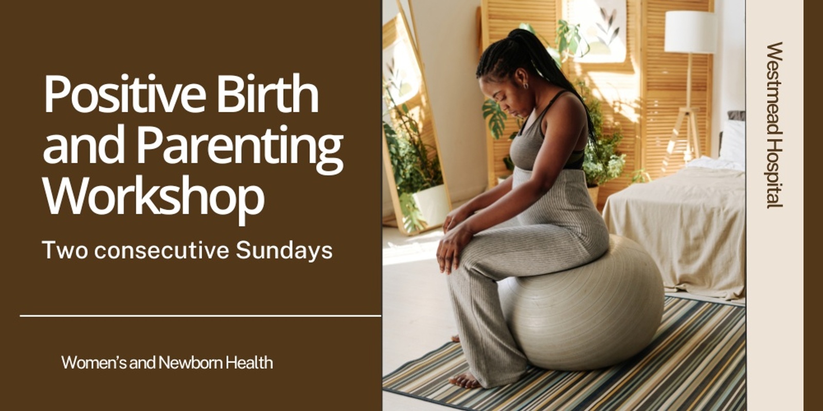 Banner image for Positive Birth and Parenting Workshop - Sunday 5th and 12th January