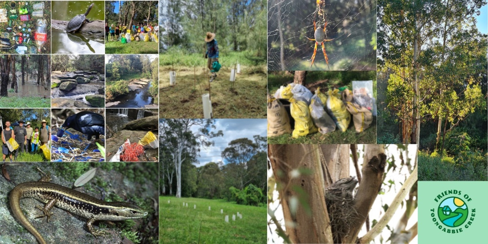 Banner image for Birds Bushland and Bags of Bottles: Toongabbie Creek tour by Friends of Toongabbie Creek