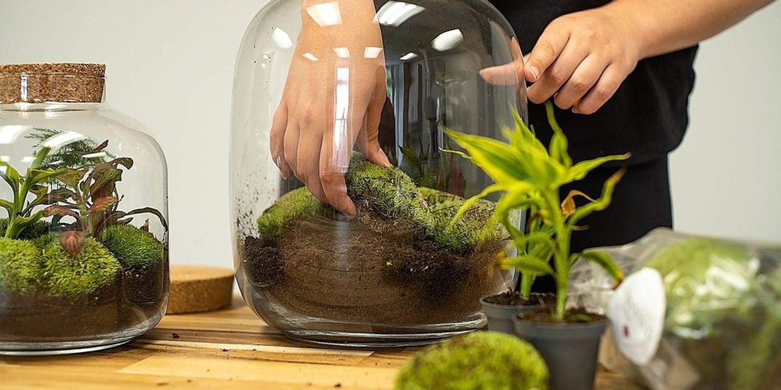 Cute Closed Terrariums with Maddy