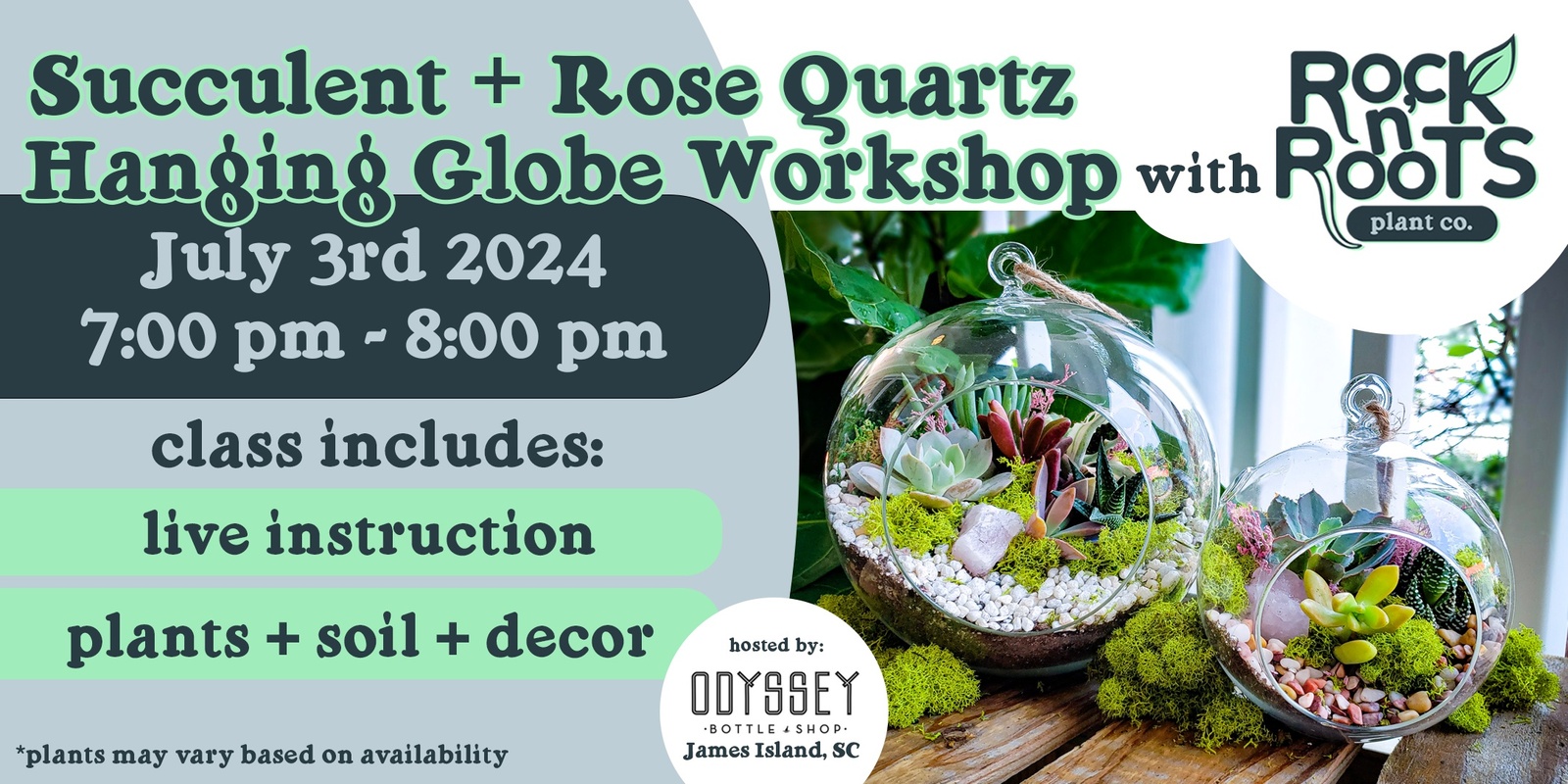 Banner image for Succulent + Rose Quartz Hanging Globe Workshop at Odyssey Bottle Shop (James Island, SC)