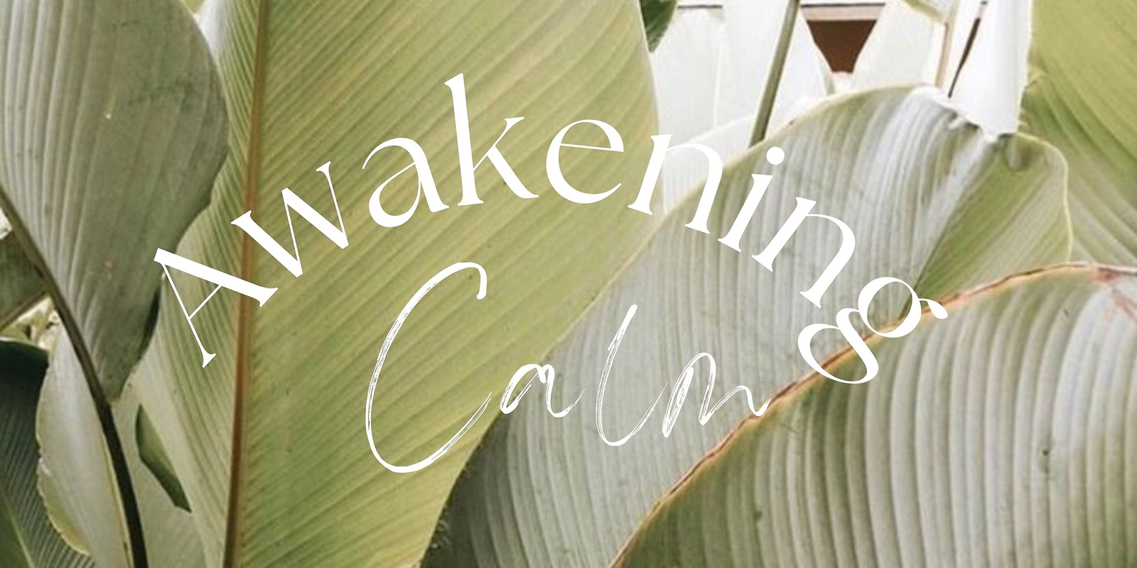 Banner image for Awakening Calm - A half day retreat