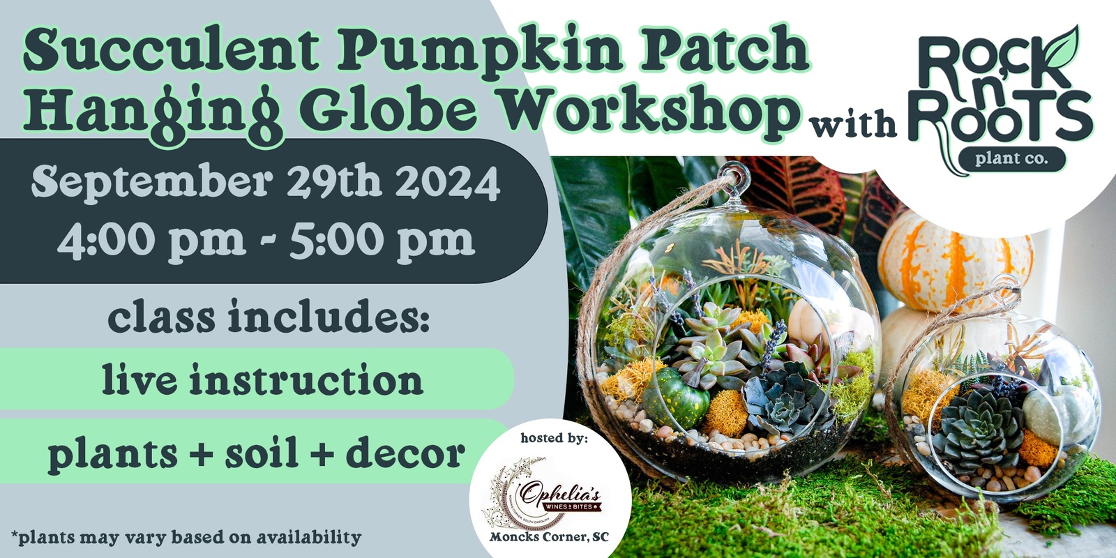 Banner image for Succulent Pumpkin Patch Globe Workshop at Ophelia's Wines & Bites (Moncks Corner, SC)