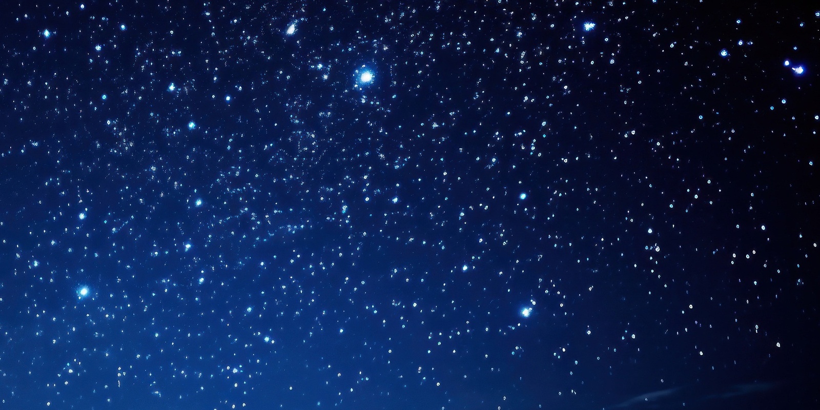 Banner image for Friend's Bush under the stars