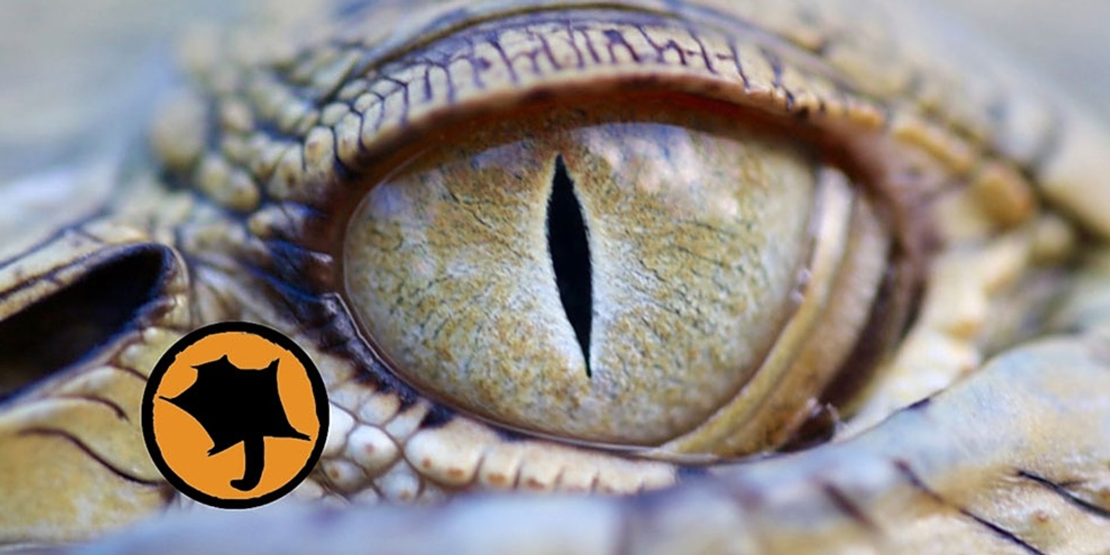 Banner image for  Wildlife wonders with Wildlife exposure