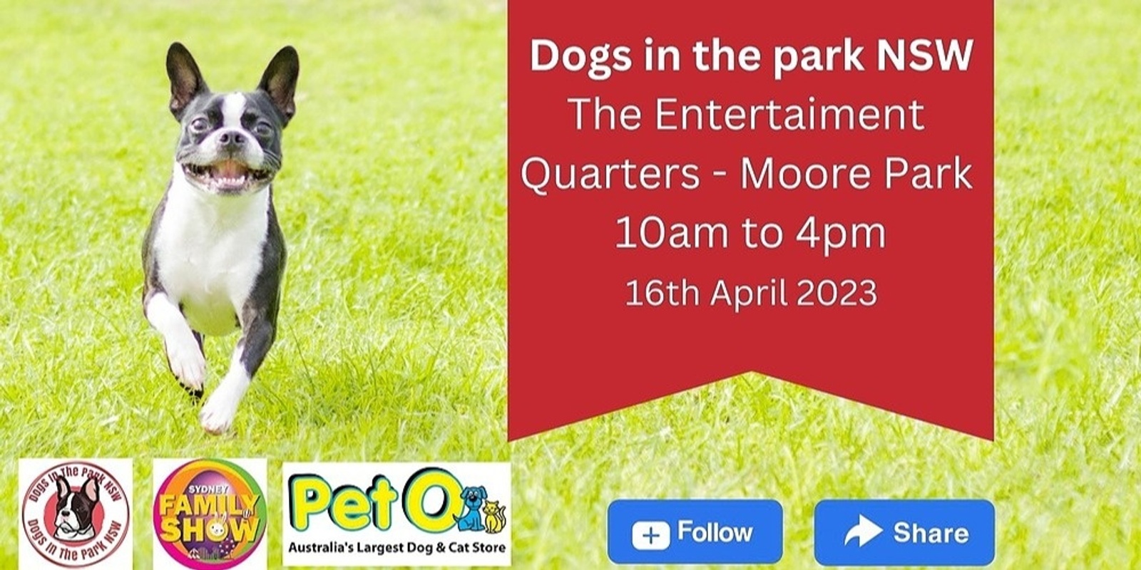 Banner image for Dogs in the park NSW