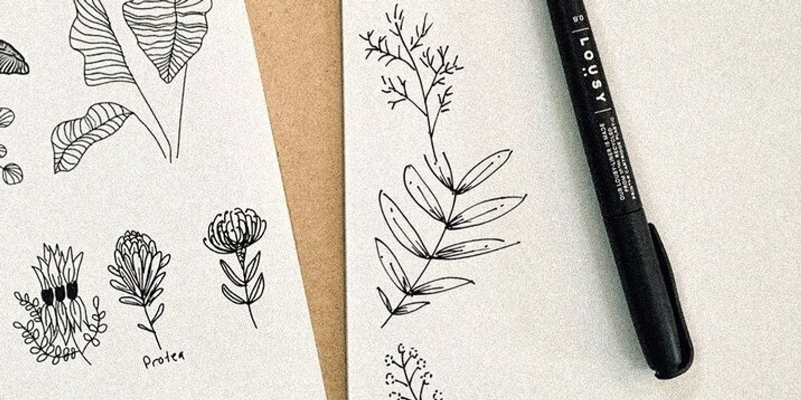 Banner image for Australian Botanical Ink Painting