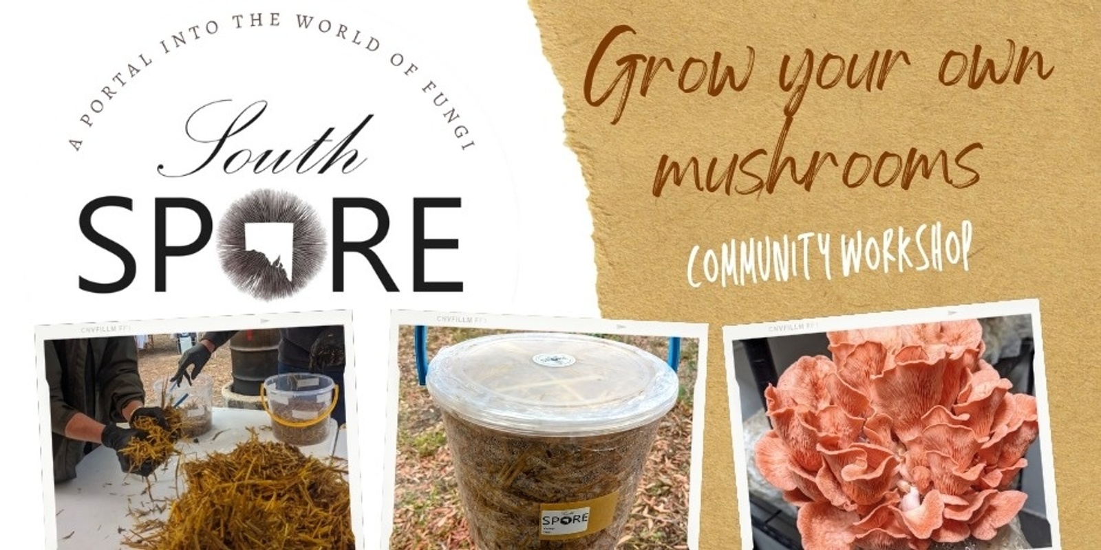 Banner image for Grow your own Gourmet Mushrooms - Workshop