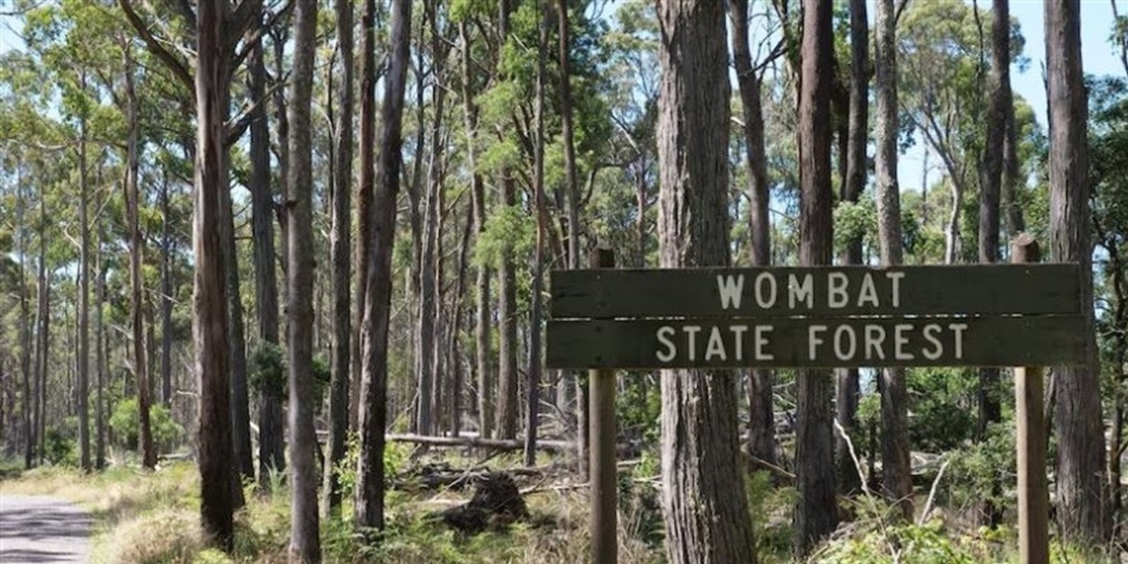 Banner image for Where are the Wombats Trail - Grade 3 (Easy to Medium) 