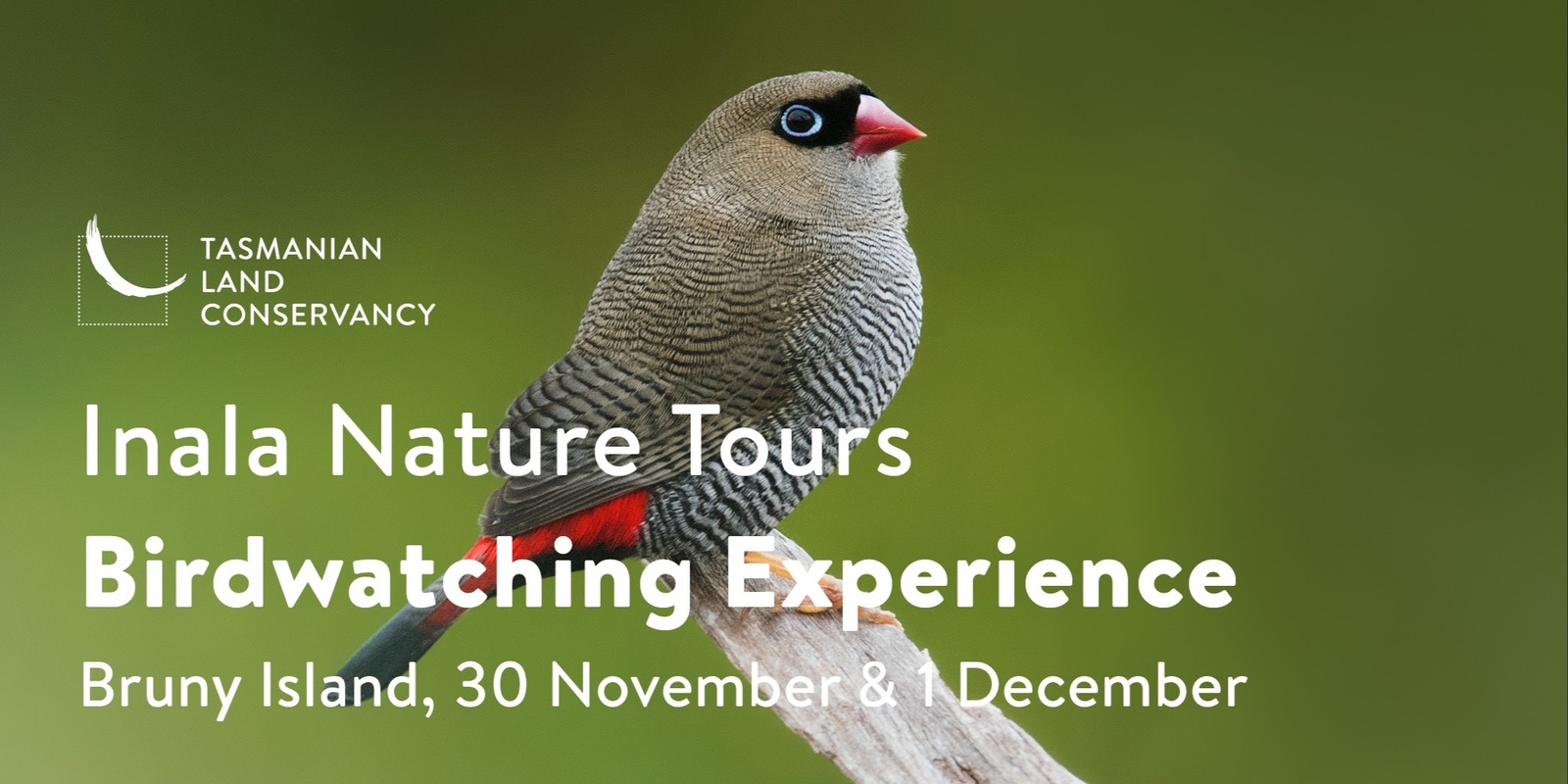 Banner image for Bruny Island Bird Adventure 2024