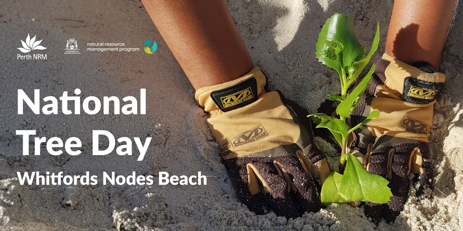 Banner image for National Tree Day - Coastal Planting Event