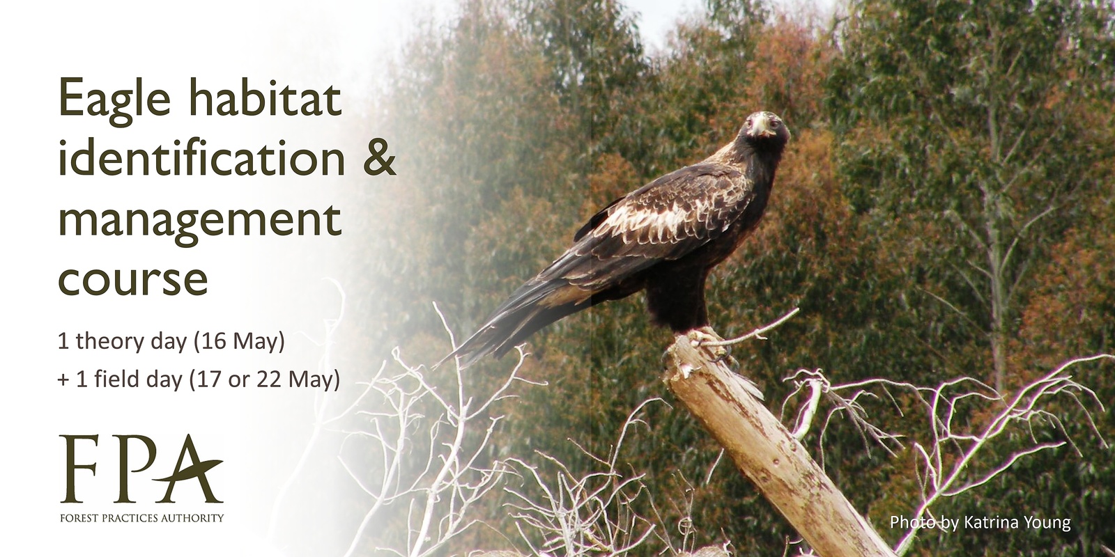 Banner image for Eagle Habitat Identification and Management Course