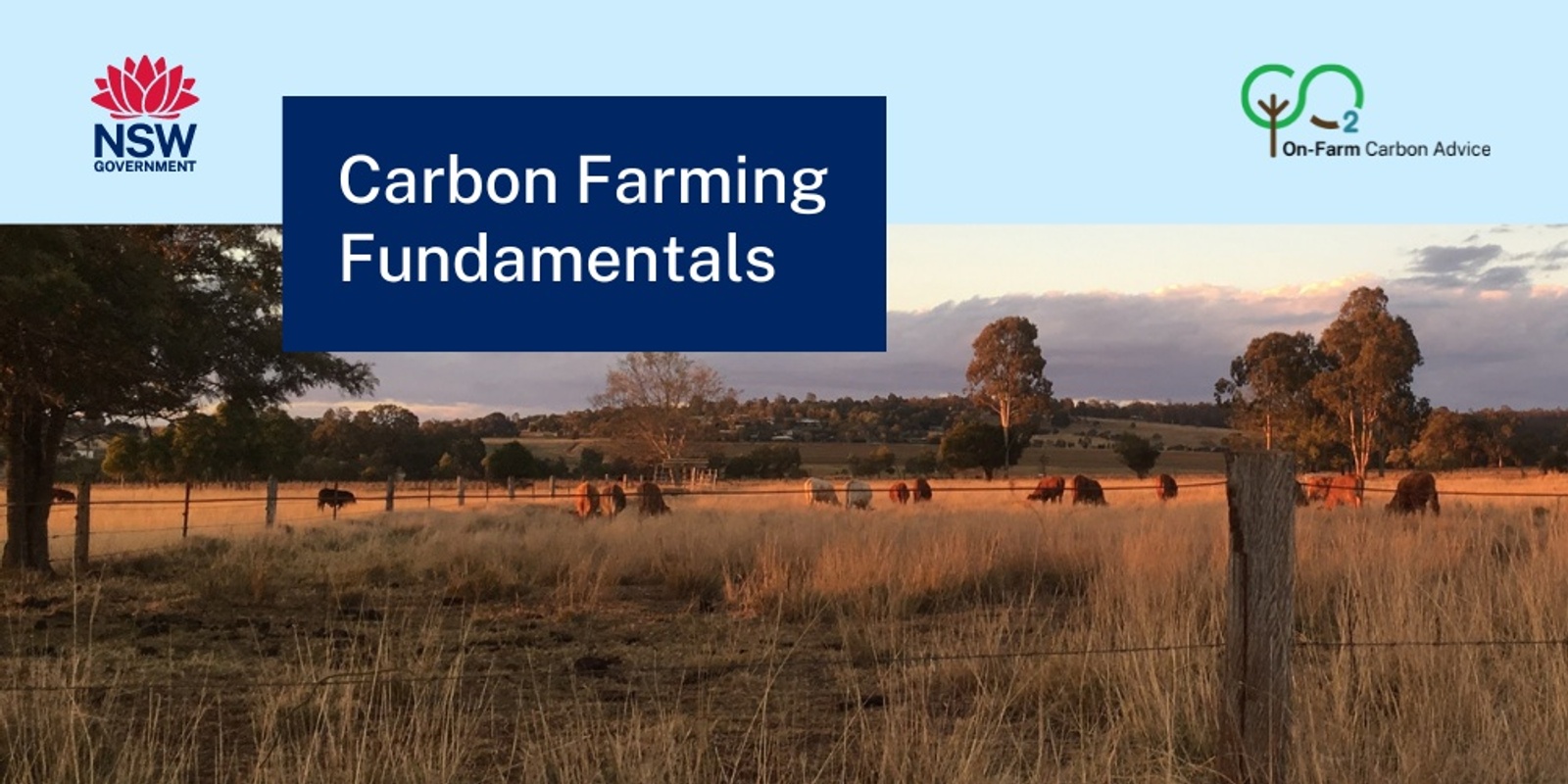 Banner image for Carbon Farming Fundamentals - Goulburn