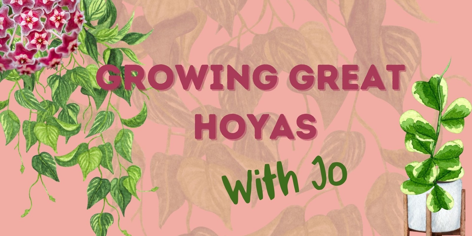 Banner image for Growing Great Hoyas with Jo