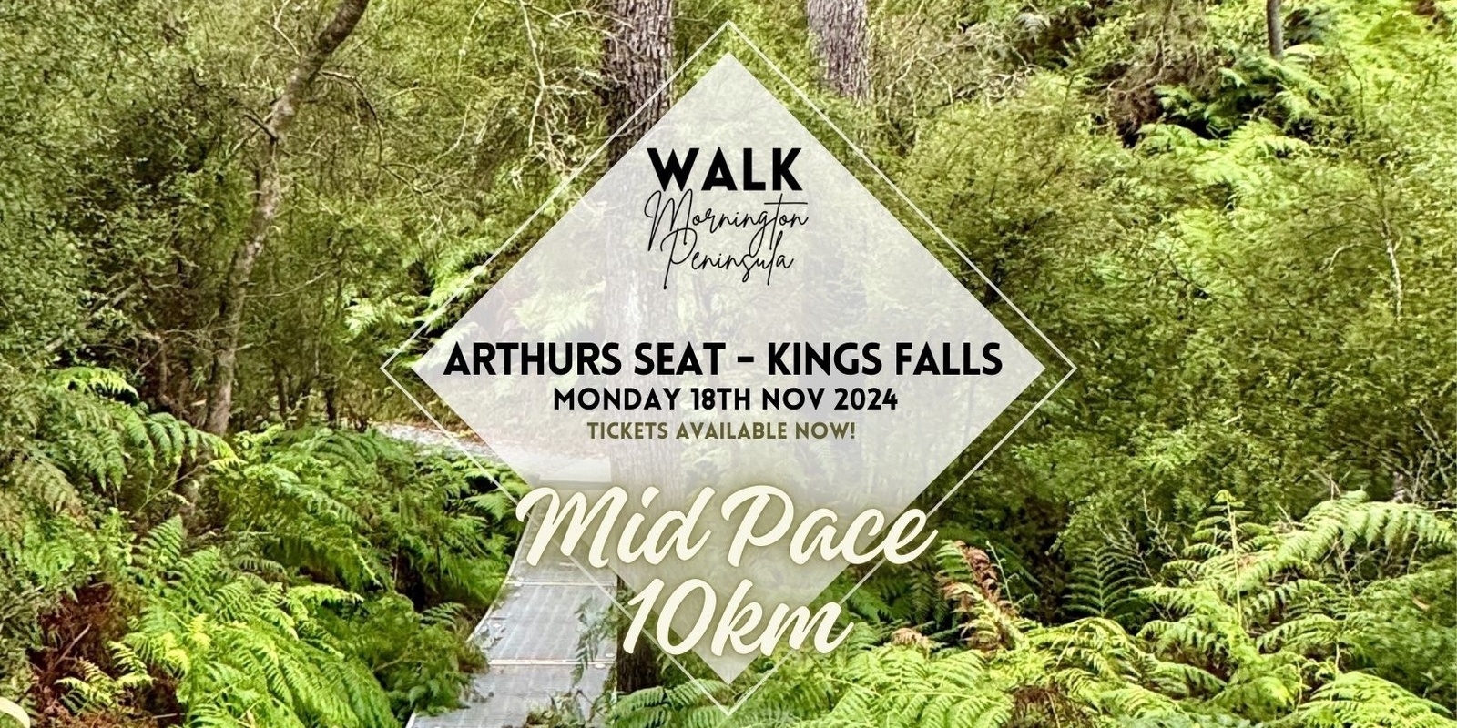 Banner image for Arthurs Seat - Kings Falls - MID PACE 10km