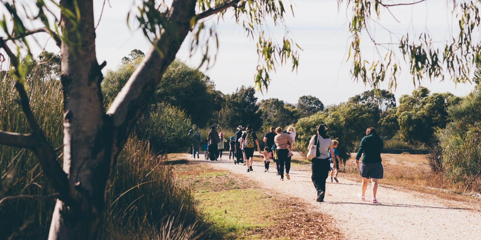 Banner image for Brownhill Creek: Walk, Learn, and Explore