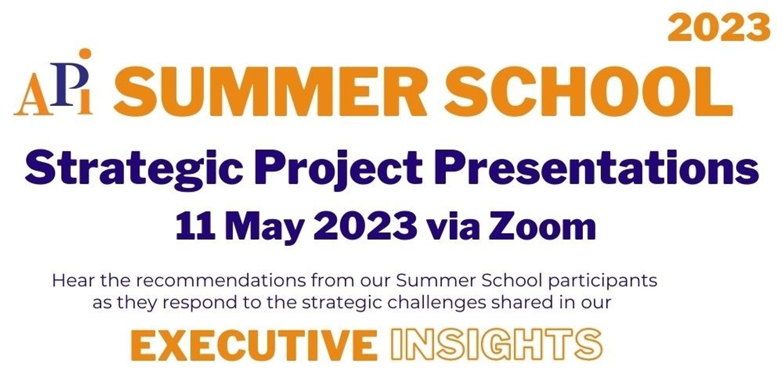 Banner image for API Summer School 2023 Presentations on Strategic Challenges