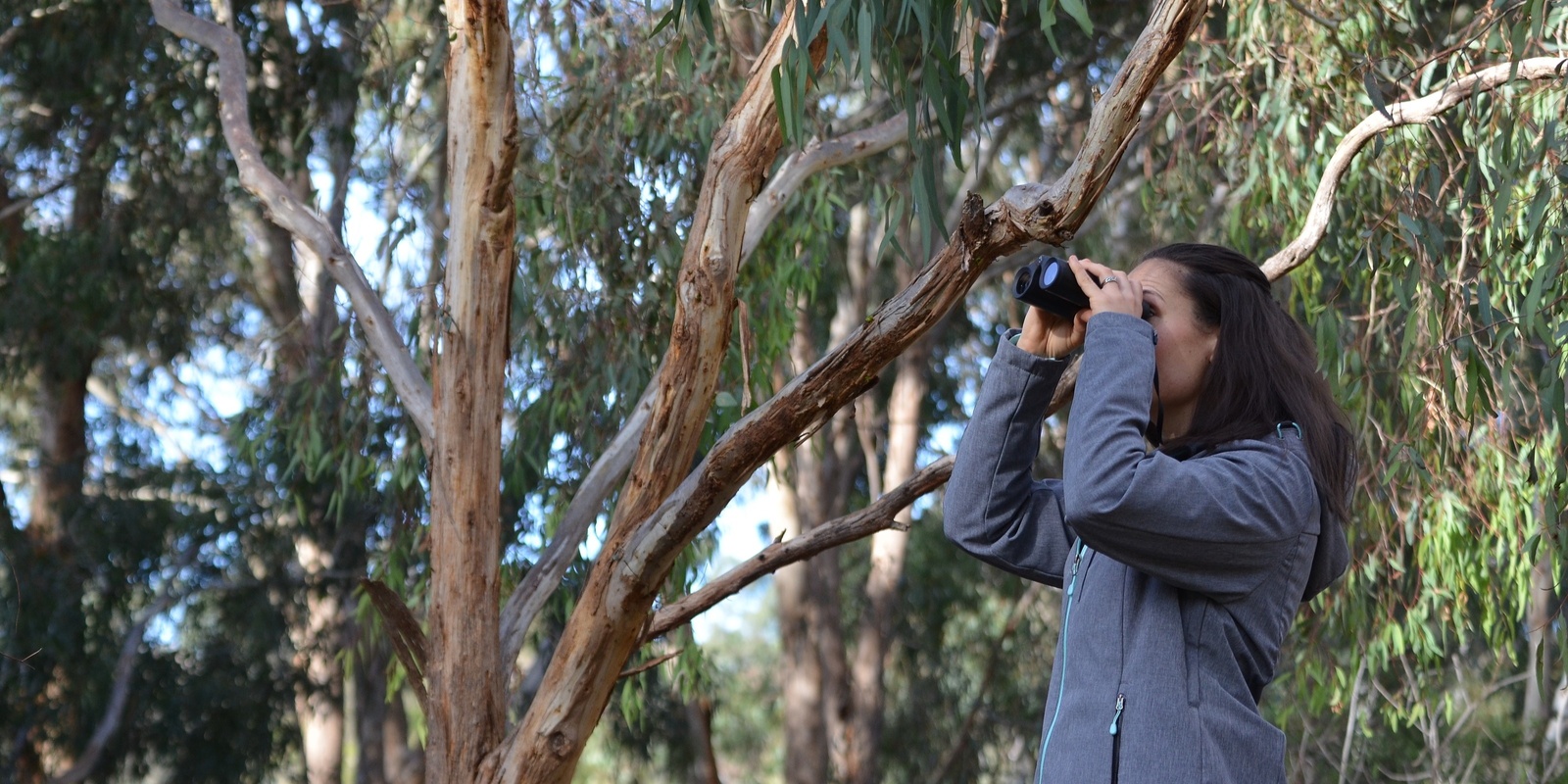 Banner image for Webinar: Birds in the ‘burbs: How to improve habitat for native birds in urban areas