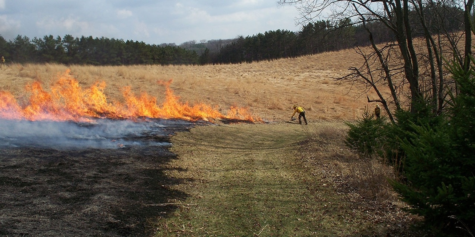 Banner image for Prescribed Fire Training for Wisconsin Landowners