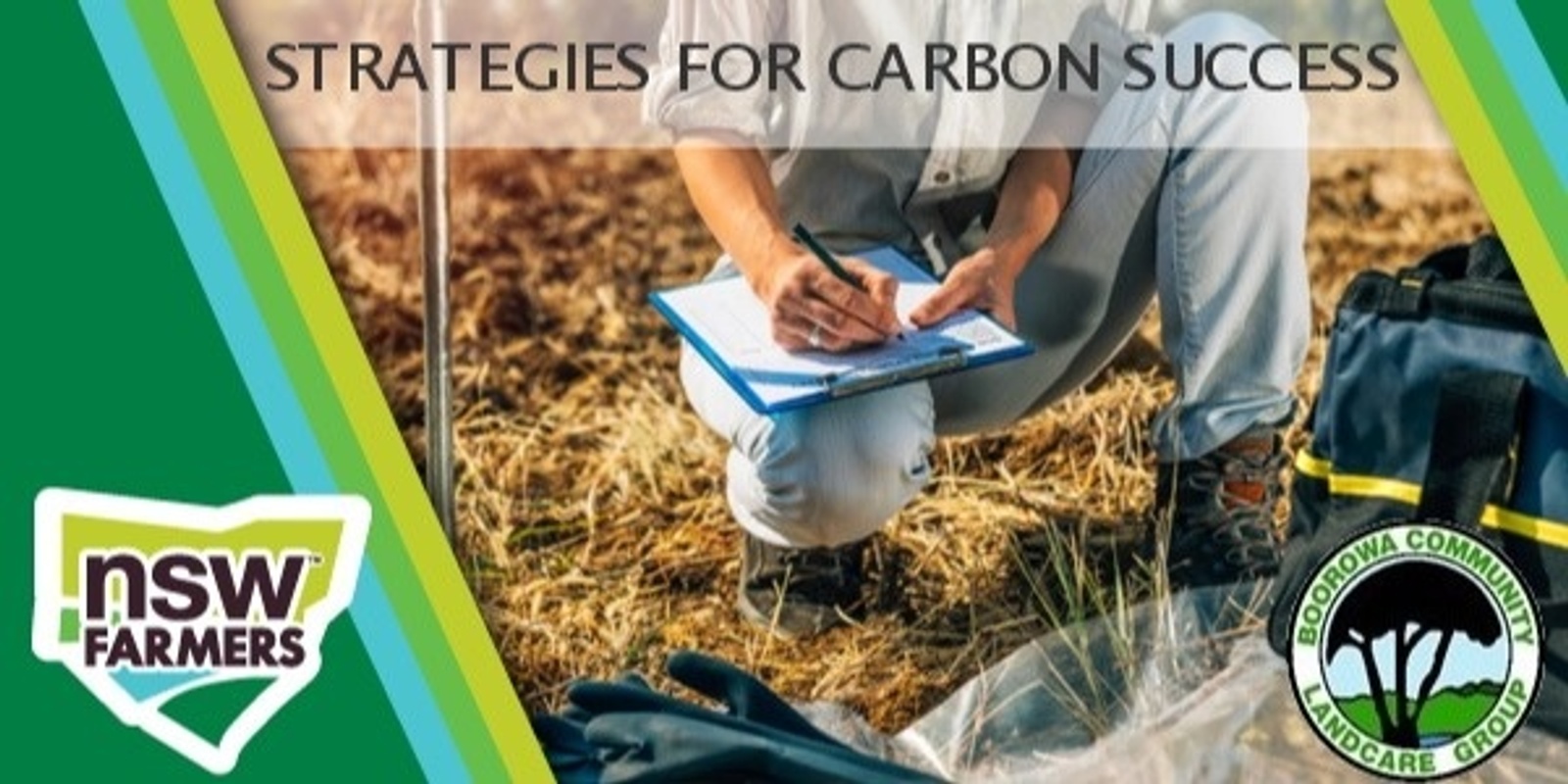 Banner image for Strategies for Carbon Success