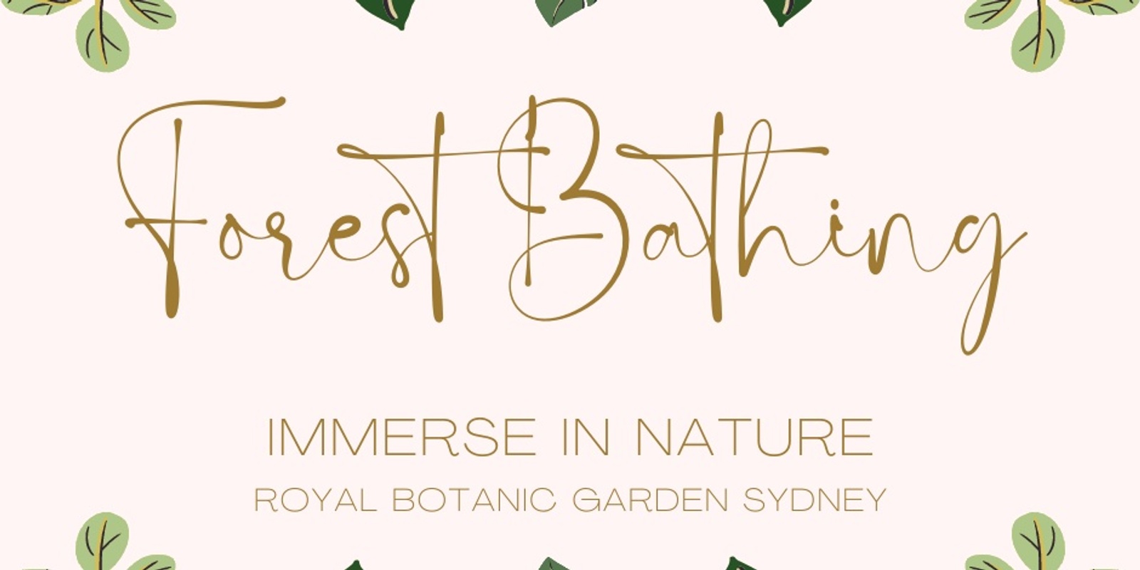Banner image for Forest Bathing - Royal Botanic Garden Sydney