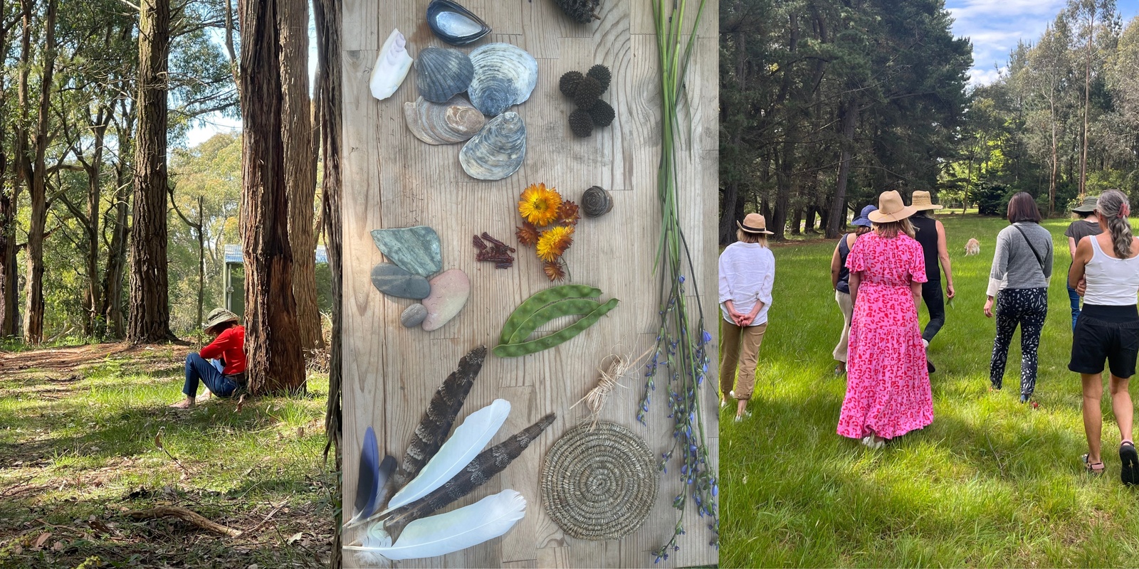 Banner image for Return to Nature in Red Hill: Awaken Deep Nature Connection Within