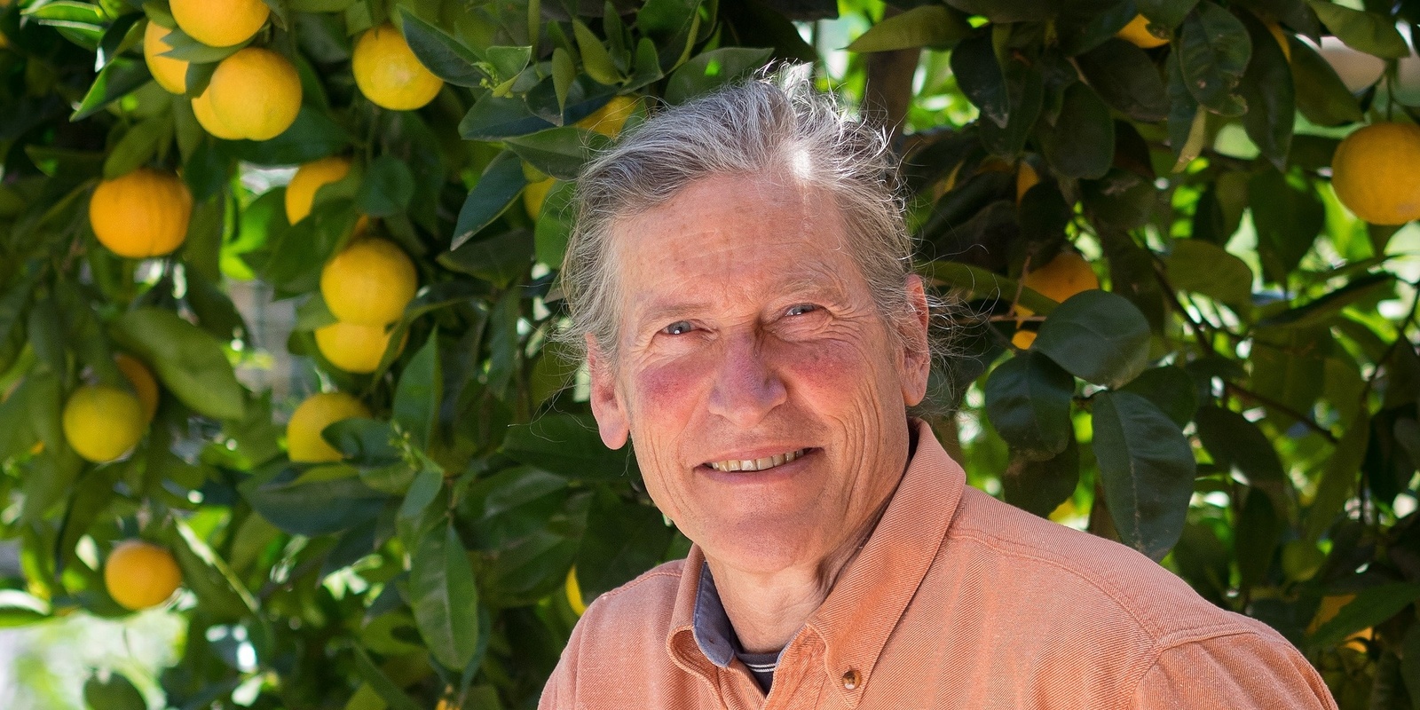 Banner image for A lifetime dedicated to Permaculture with David Holmgren