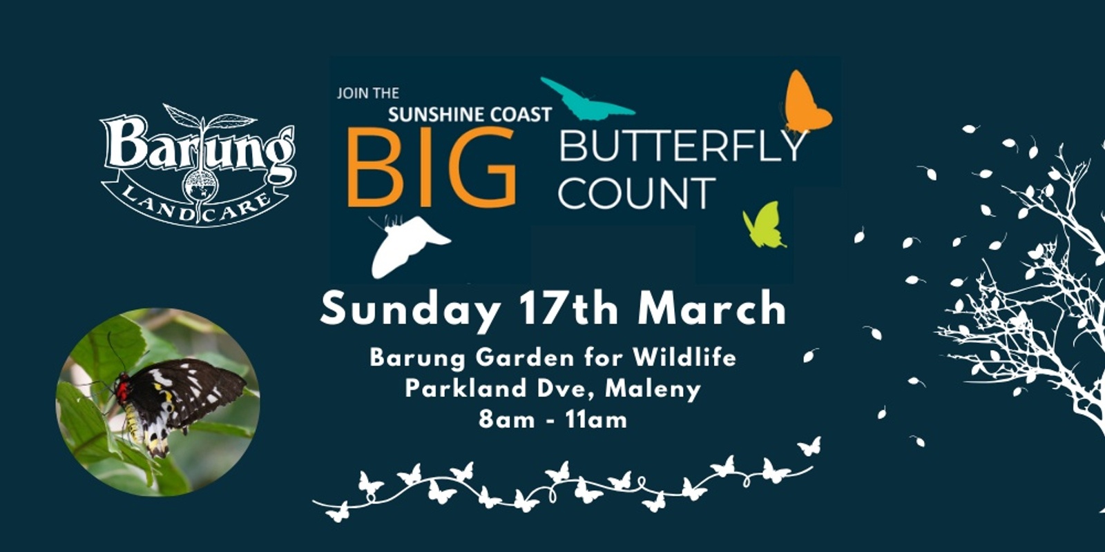 Autumn Barung Big Butterfly Count 2024 Humanitix