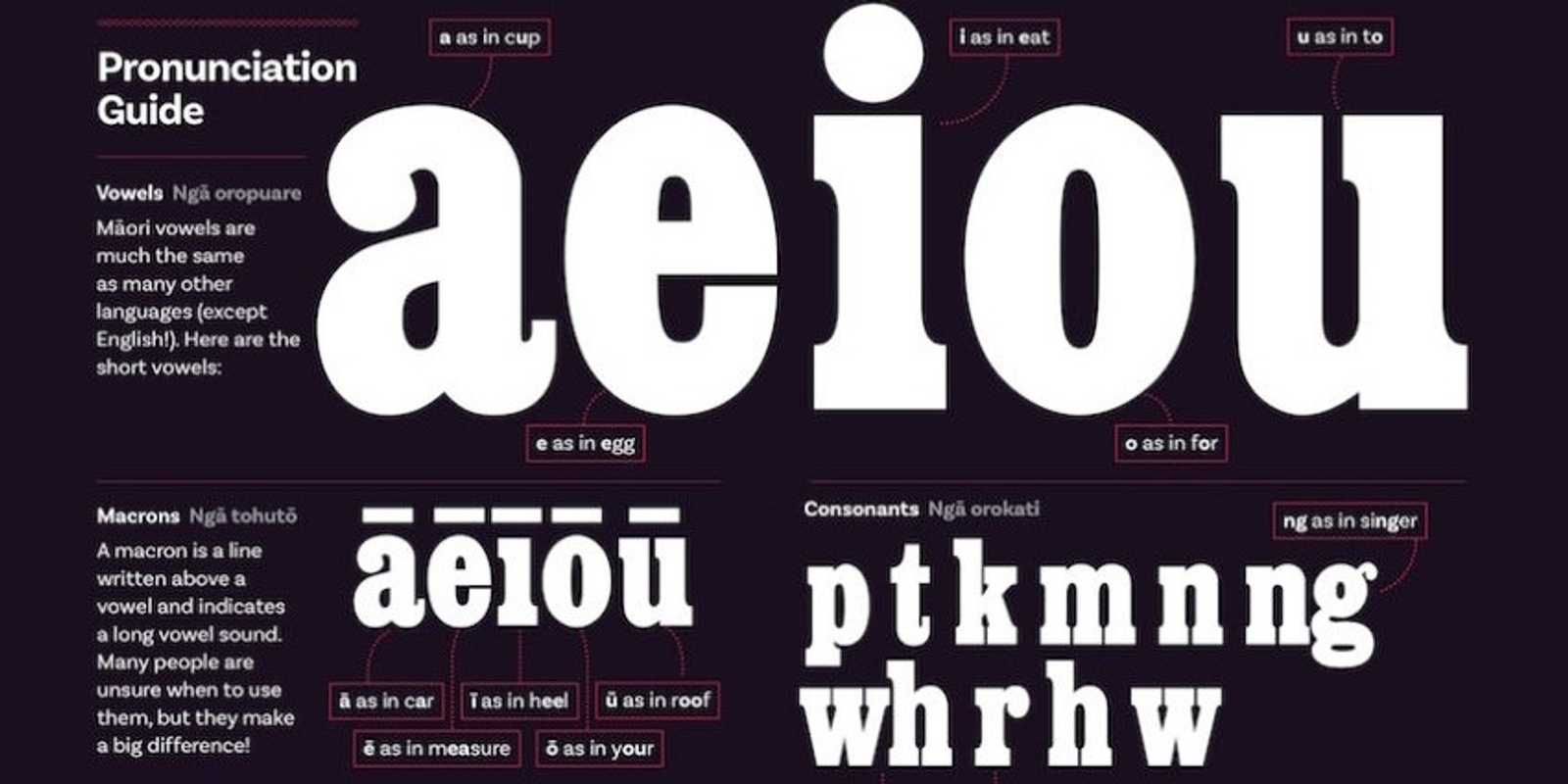 Banner image for Te Reo in Everyday Business Lives