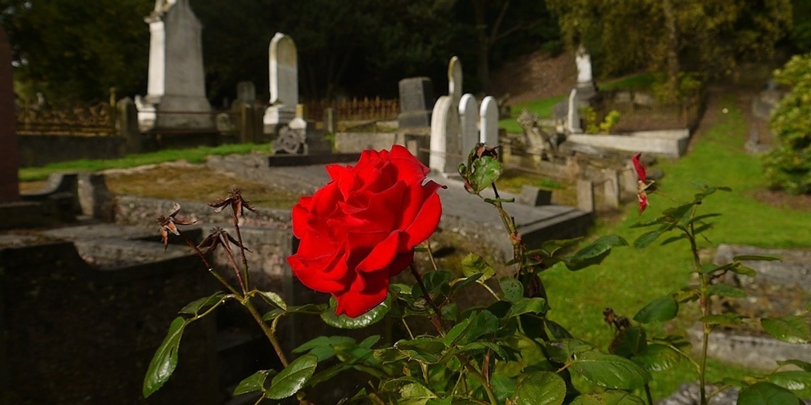 Banner image for Northern Cemetery