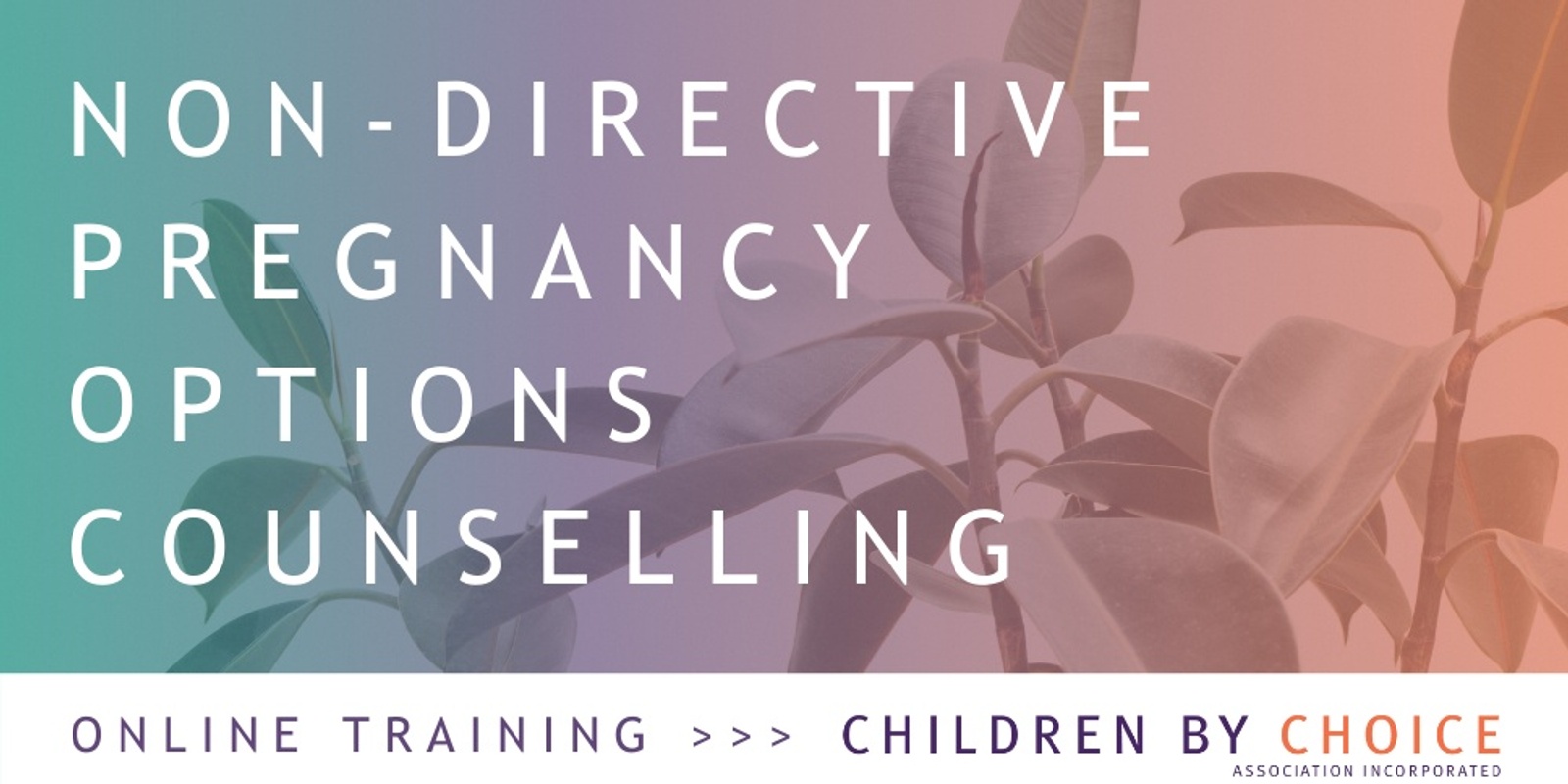 Banner image for Non-directive Pregnancy Options Counselling & Applied Practice