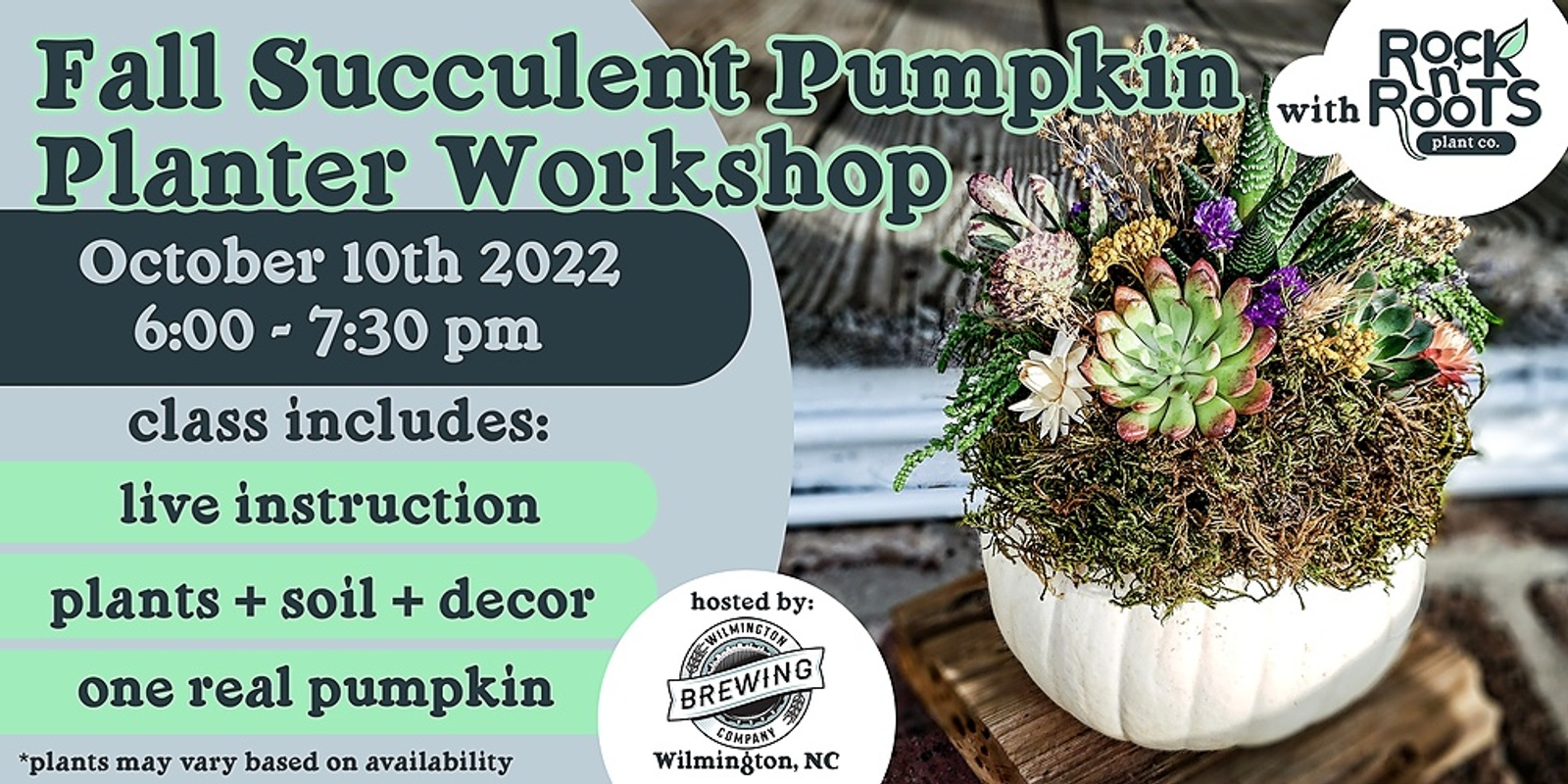 Banner image for Fall Succulent Pumpkin Planter Workshop at Wilmington Brewing Company (Wilmington, NC)