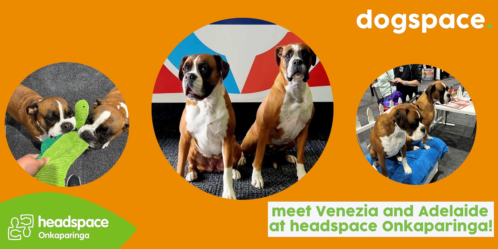 Banner image for Dogspace @ headspace Onkaparinga