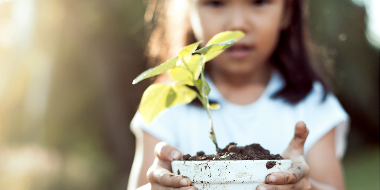 Banner image for Exploring ecosystems (ages 5 to 8)