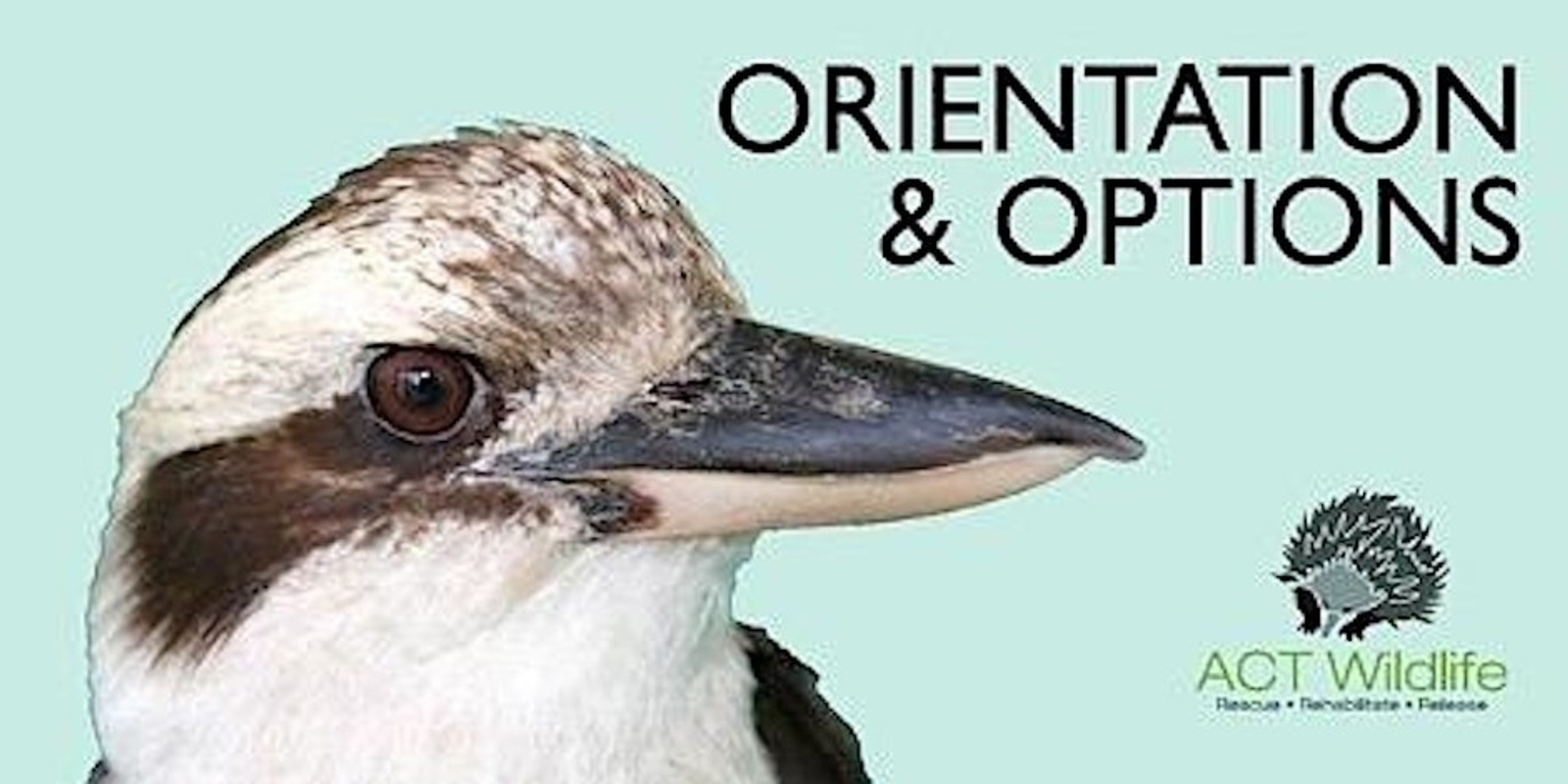 Banner image for Orientation