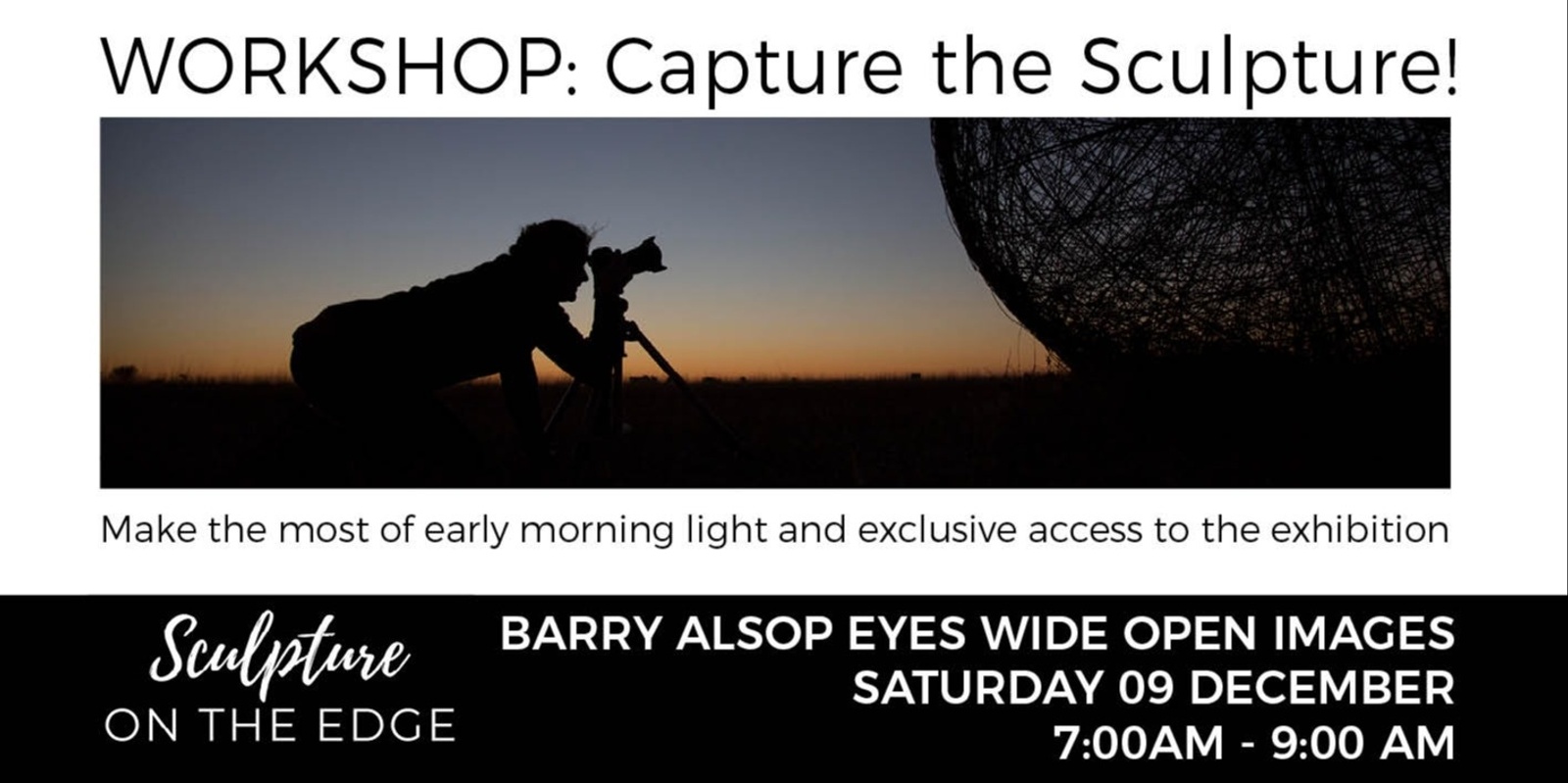 Banner image for WORKSHOP: Capture the Sculpture with Barry Alsop 