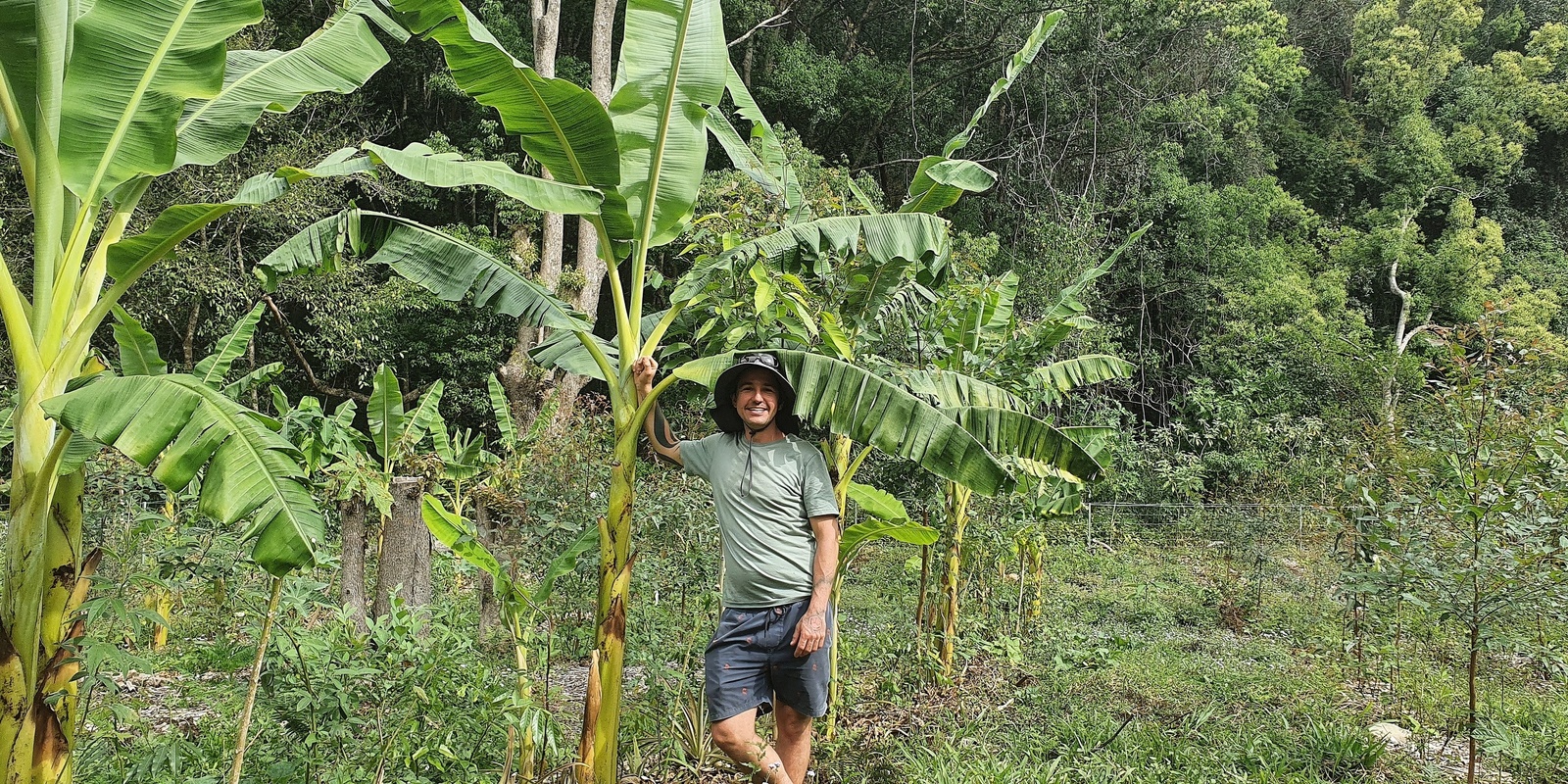 Banner image for Farm walk and talk at Victor Pires' Syntropic Farm