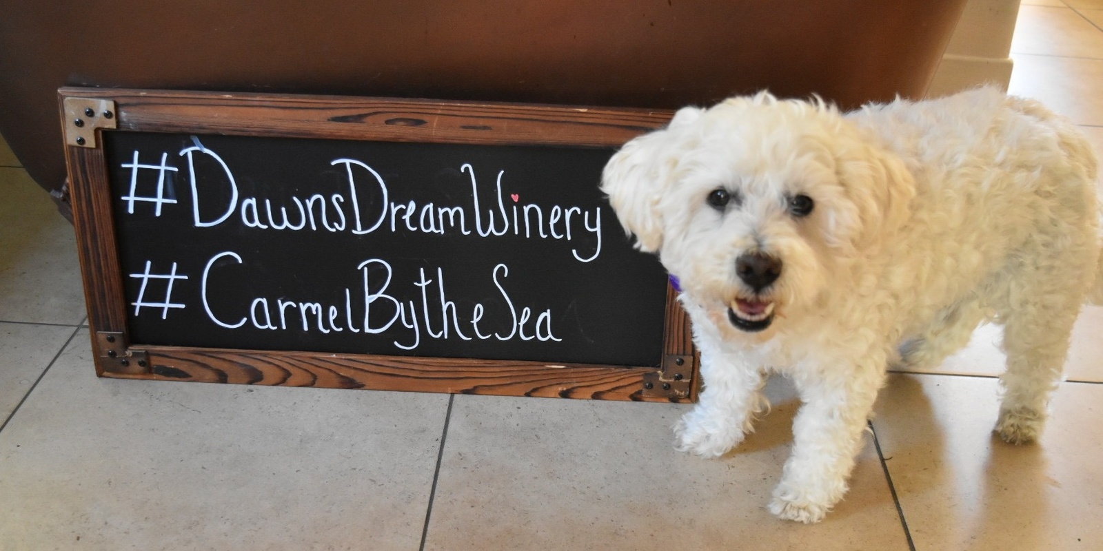 Banner image for AFRP & Dawn's Dream Winery - Frances Jane Wine Release Party