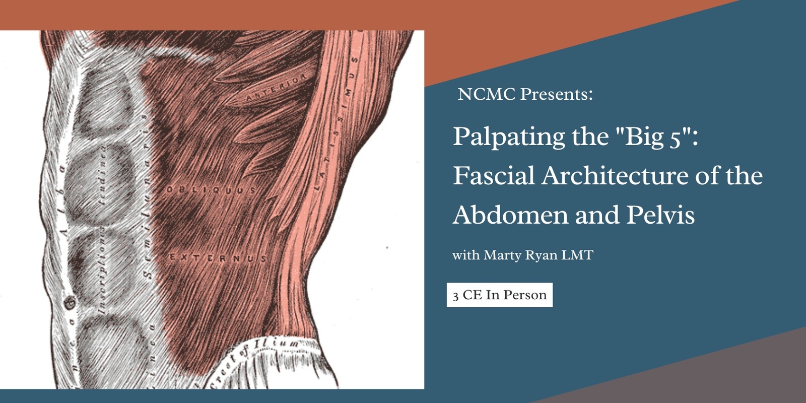 Banner image for Palpating the "Big 5": Fascial Architecture of the Abdomen and Pelvis