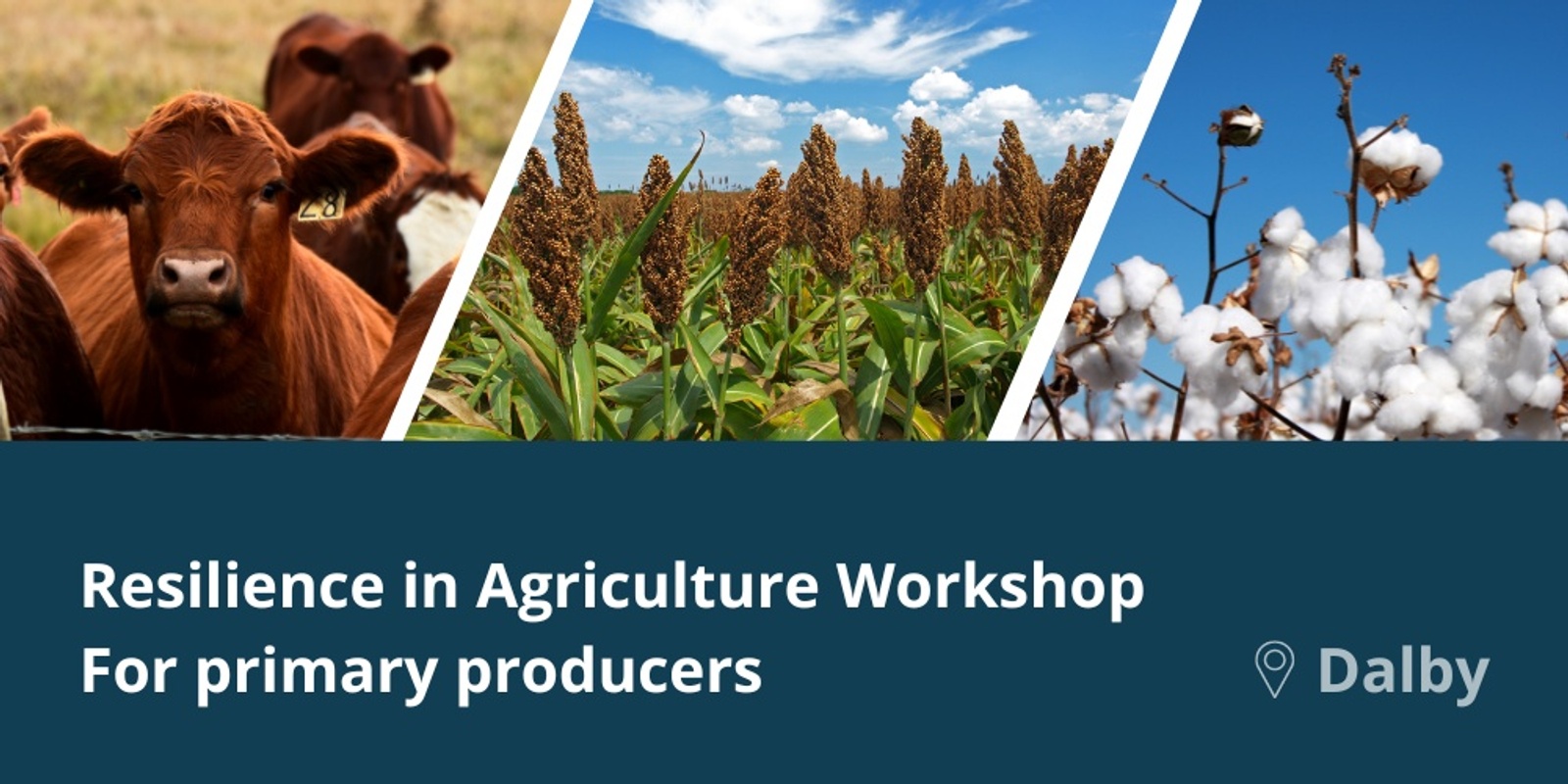 Banner image for Resilience in Agriculture Workshop