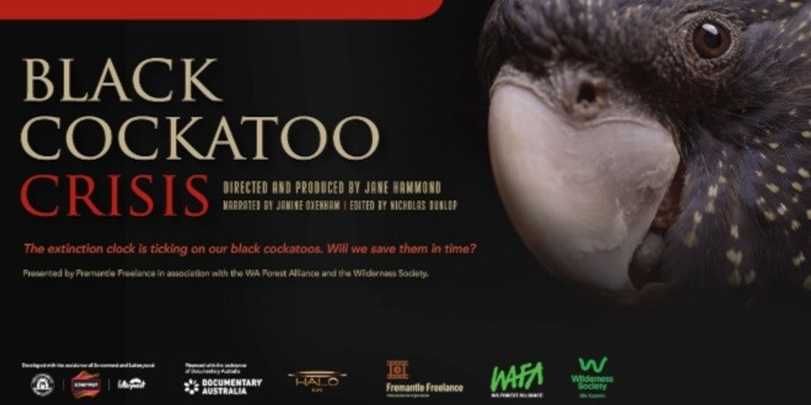 Banner image for Black Cockatoo Crisis film & Big Carnabys sculpture fundraiser