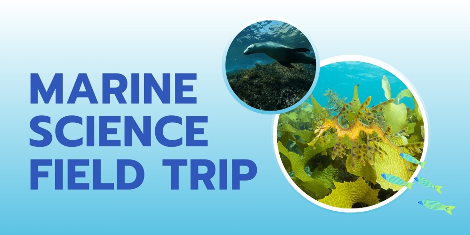 Banner image for Marine Science Field Trip